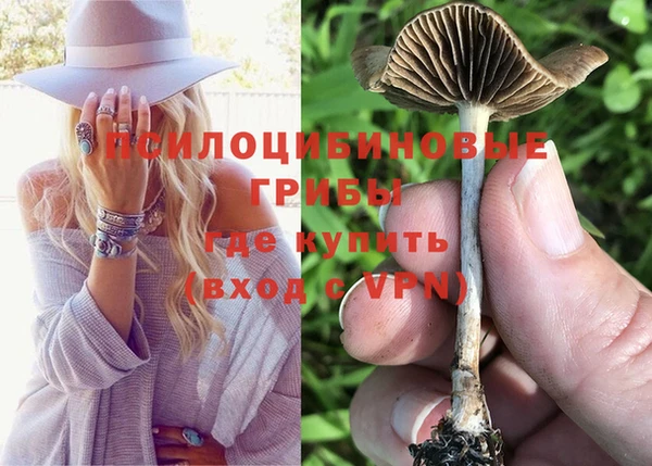 МДПВ Абдулино